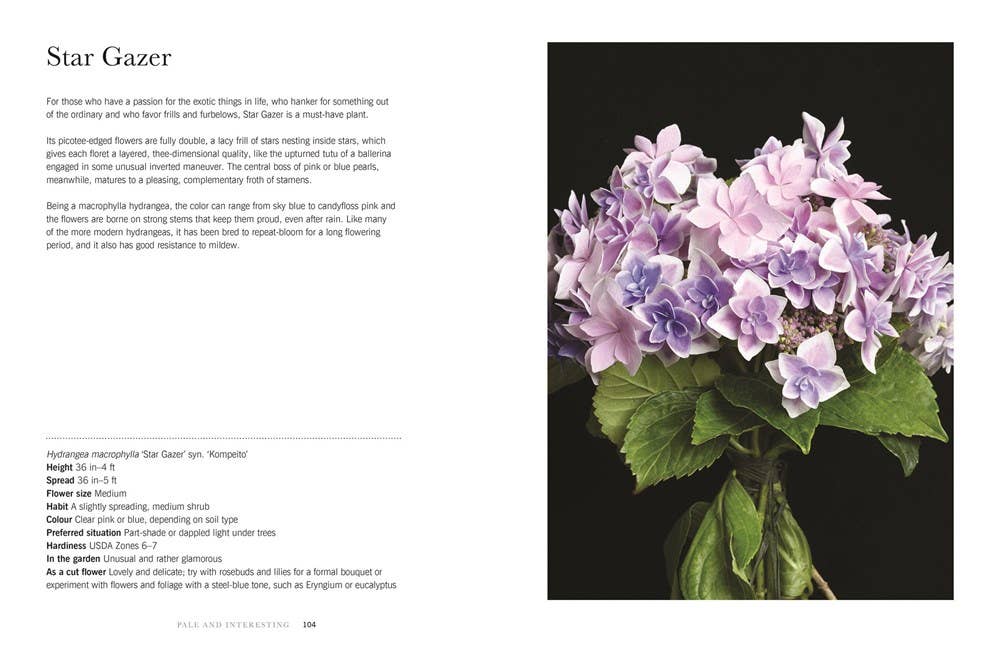 Hydrangeas: Beautiful Varieties for Home & Garden Book