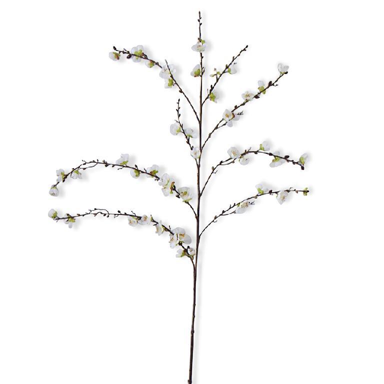 50" White Cherry Blossom Stem