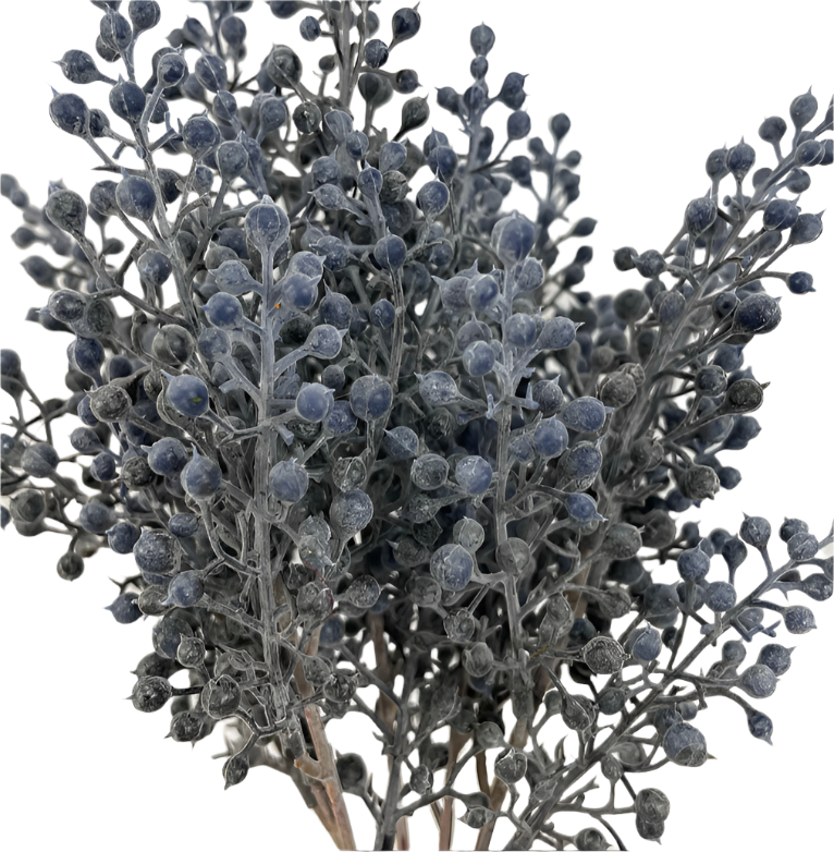 12" BERRY BUSH X5 DUSTY BLUE