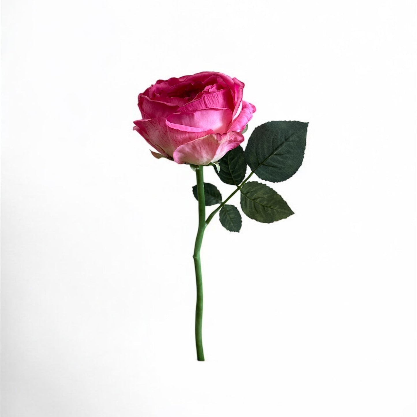 13" Rose Stem in Dark Pink