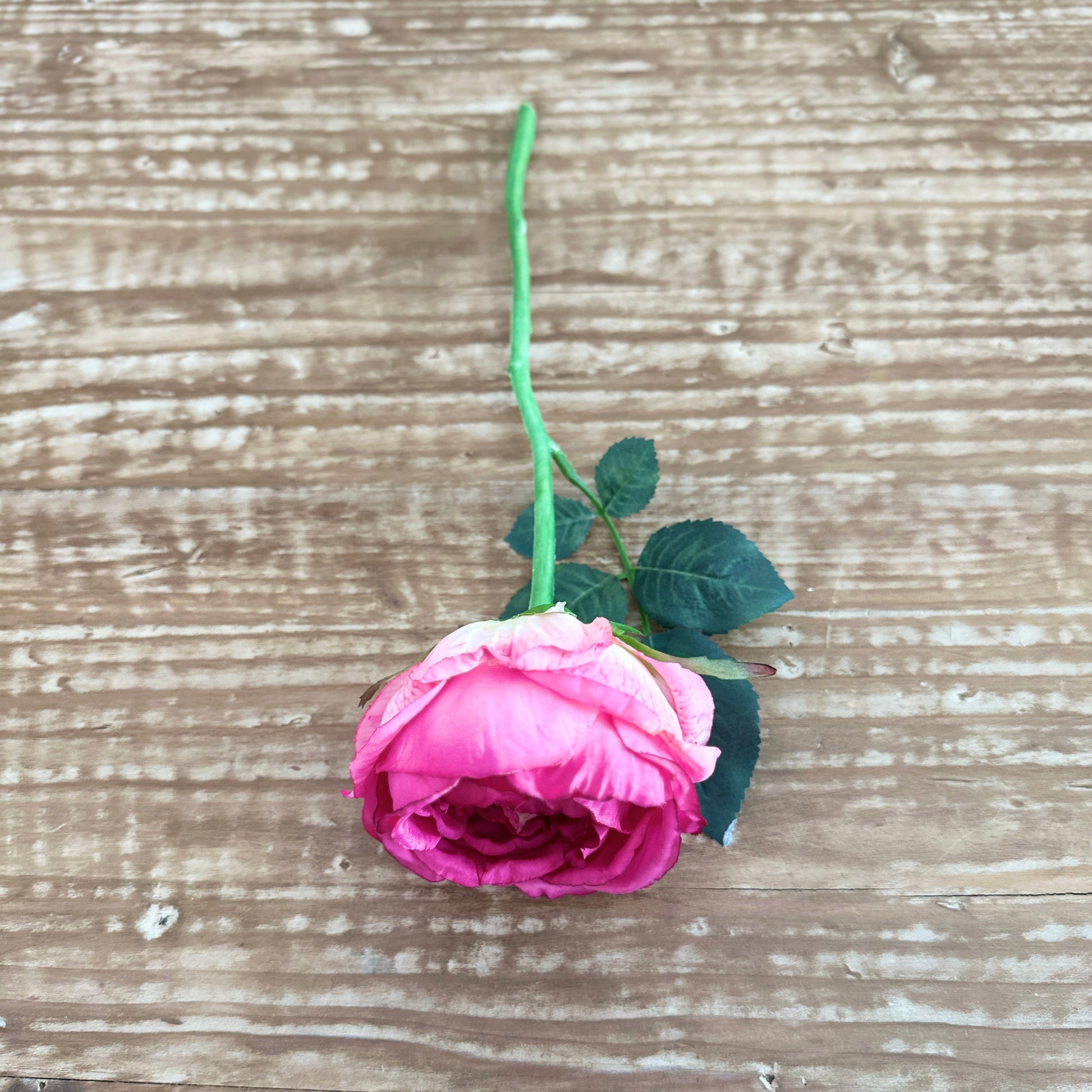 13" Rose Stem in Dark Pink