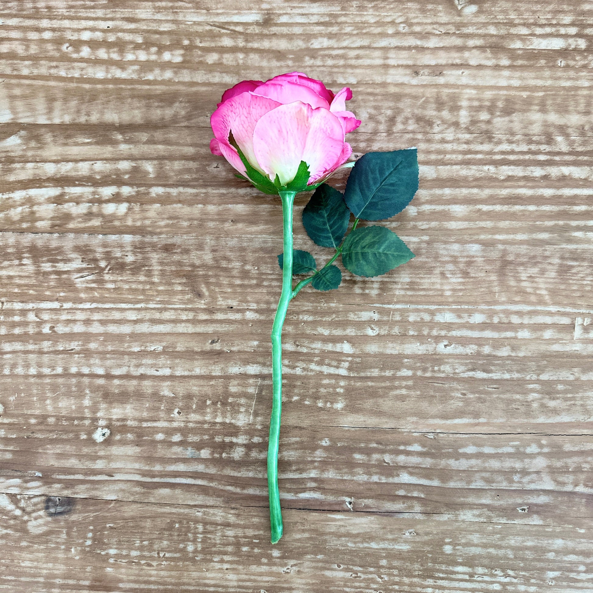 13" Rose Stem in Dark Pink