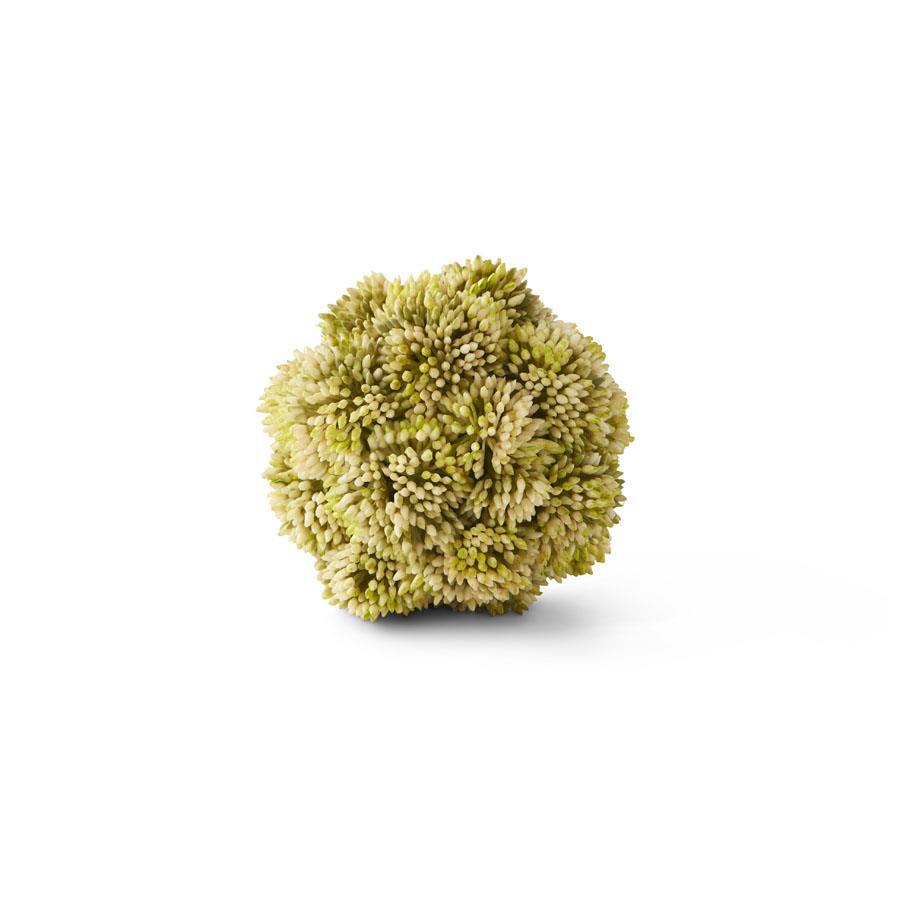 4 INCH LIGHT GREEN SEDUM BALL