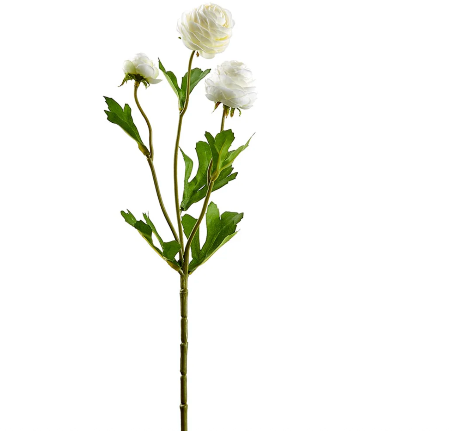 16.5" Cream Mini Ranunculus Spray