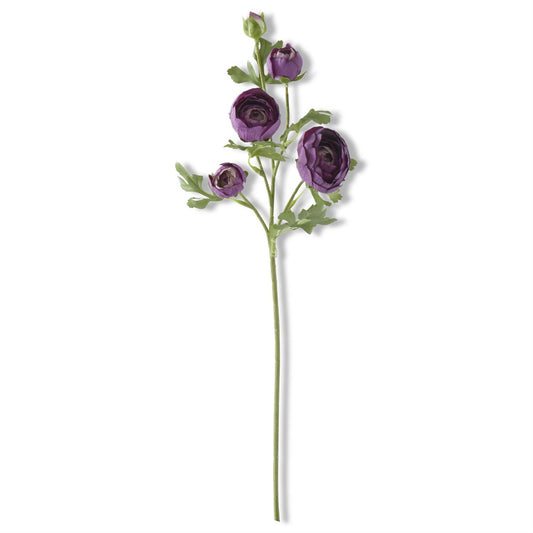 24.5 INCH DARK PURPLE REAL TOUCH 5 HEAD RANUNCULUS STEM