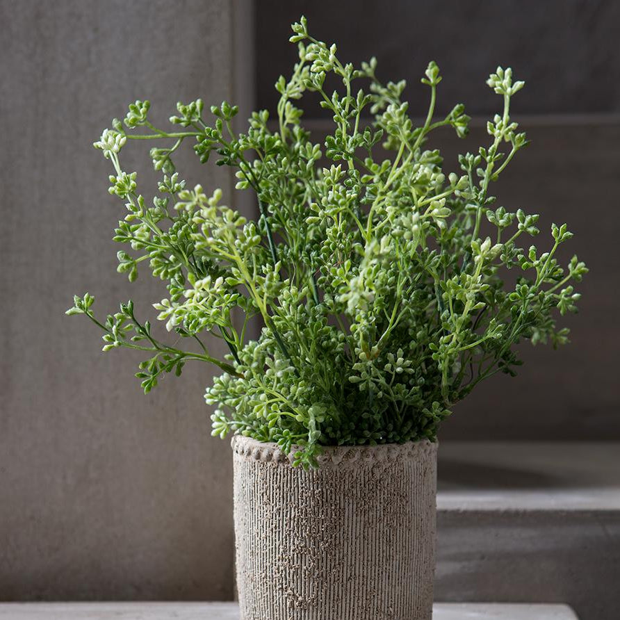 17" Eucalyptus Seed Bush