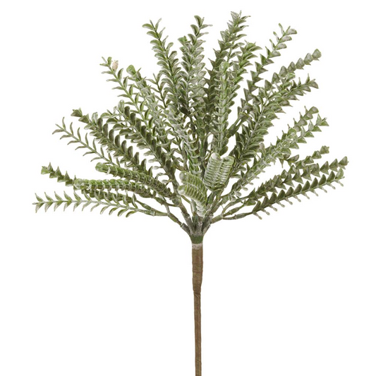 17" Green Clubmosses Spray