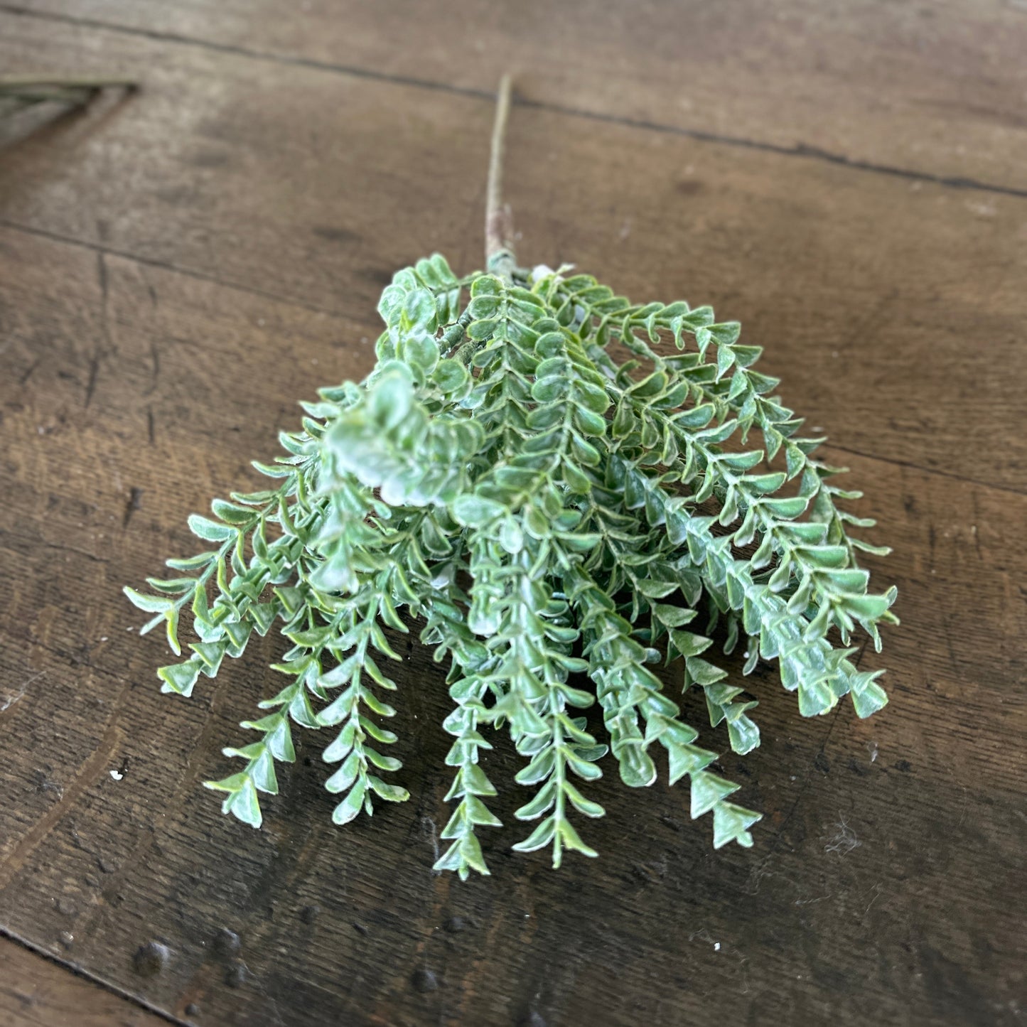 17" Green Clubmosses Spray