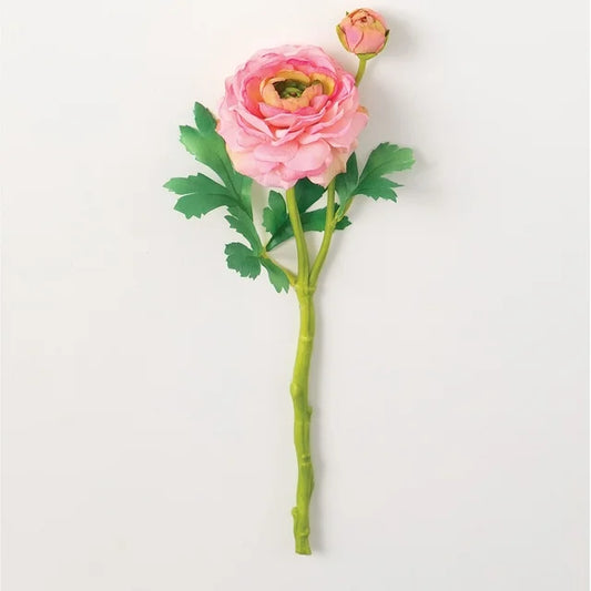 Light Pink Ranunculus Stem