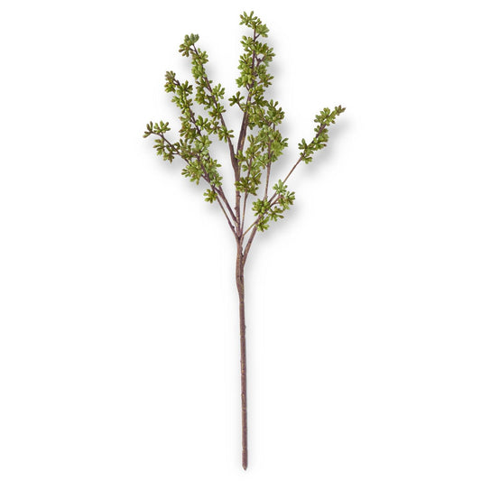 24.5 INCH GREEN EUCALYPTUS BERRY BUD STEM