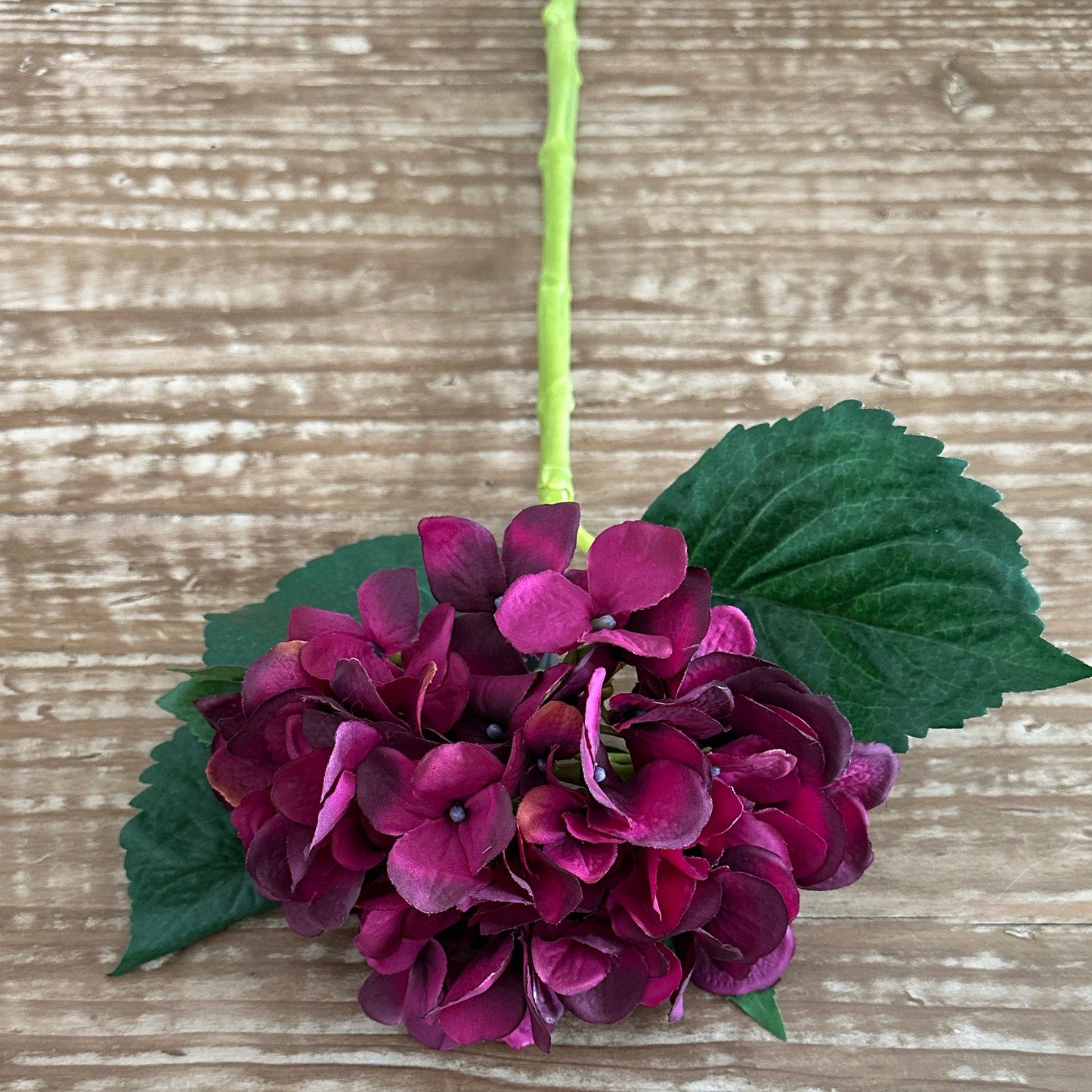 18" Hydrangea Stem in Eggplant