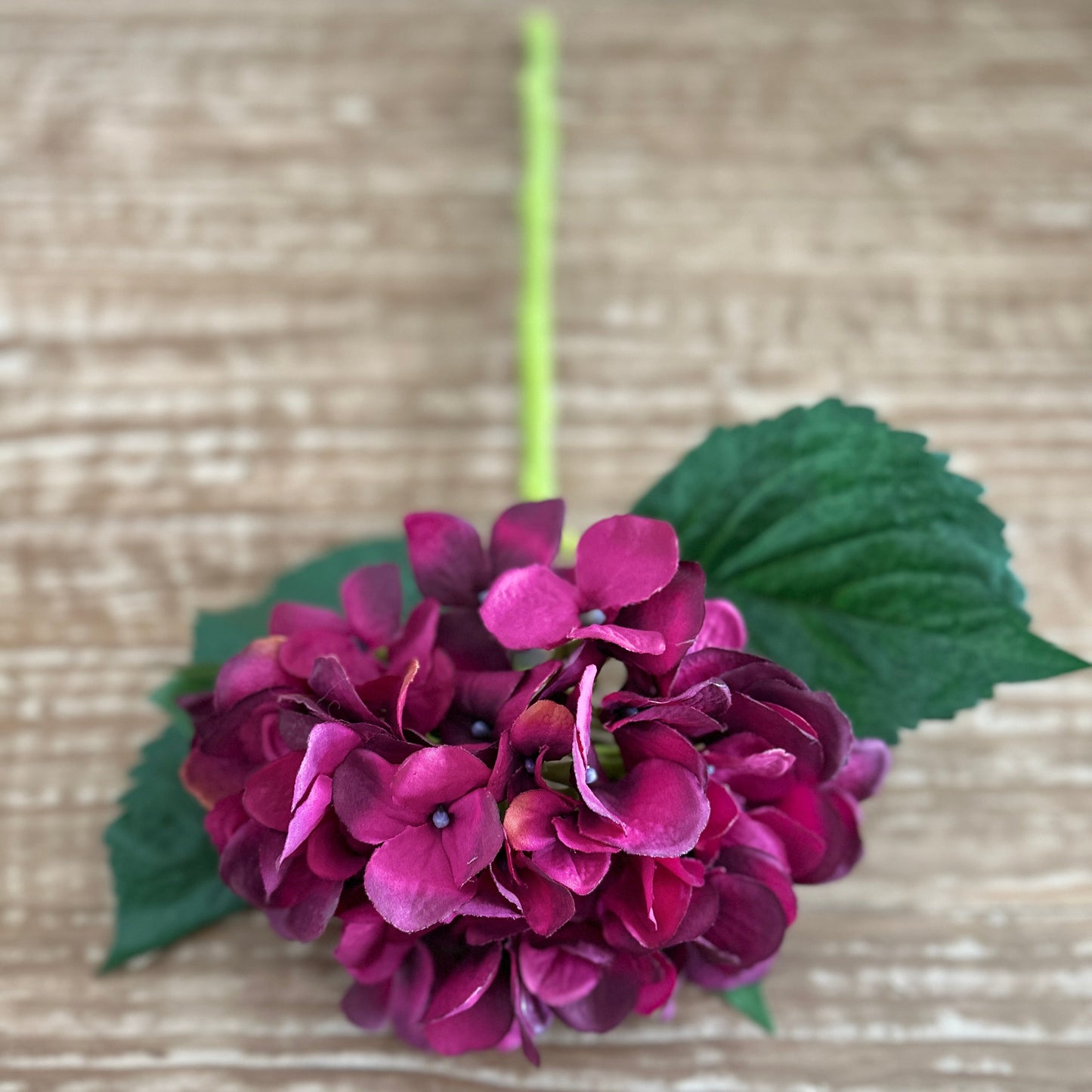 18" Hydrangea Stem in Eggplant