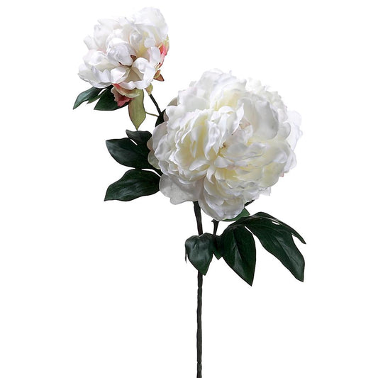Artificial white peony on a white background