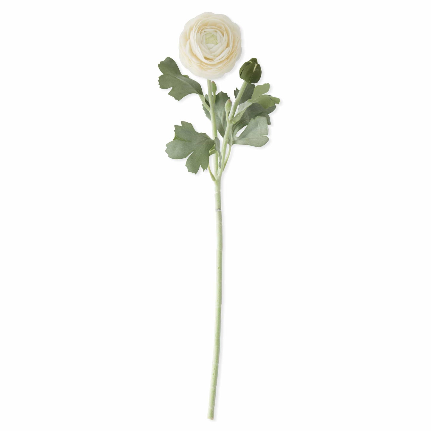 19.5 Inch Real Touch Cream Bud & Bloom Ranunculus Artificial Flower Stem