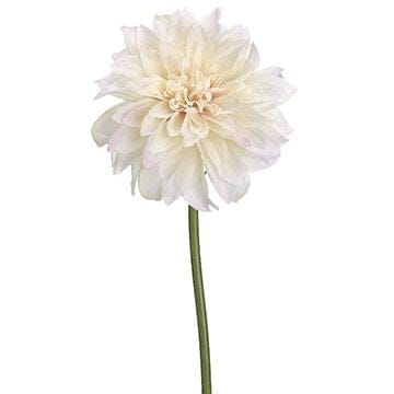 19" Dahlia Spray in Cream Blush