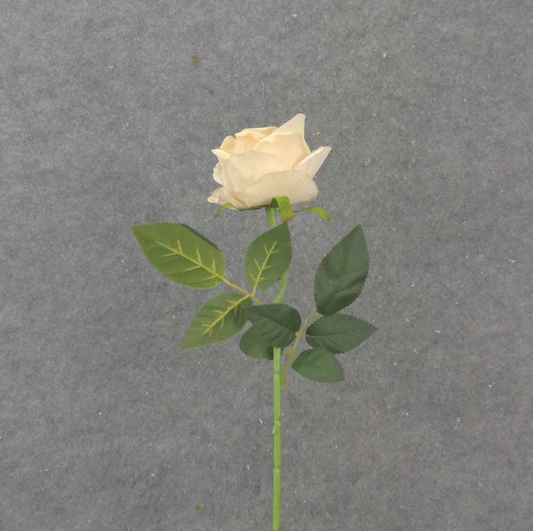 20" Candle Light Open Rose