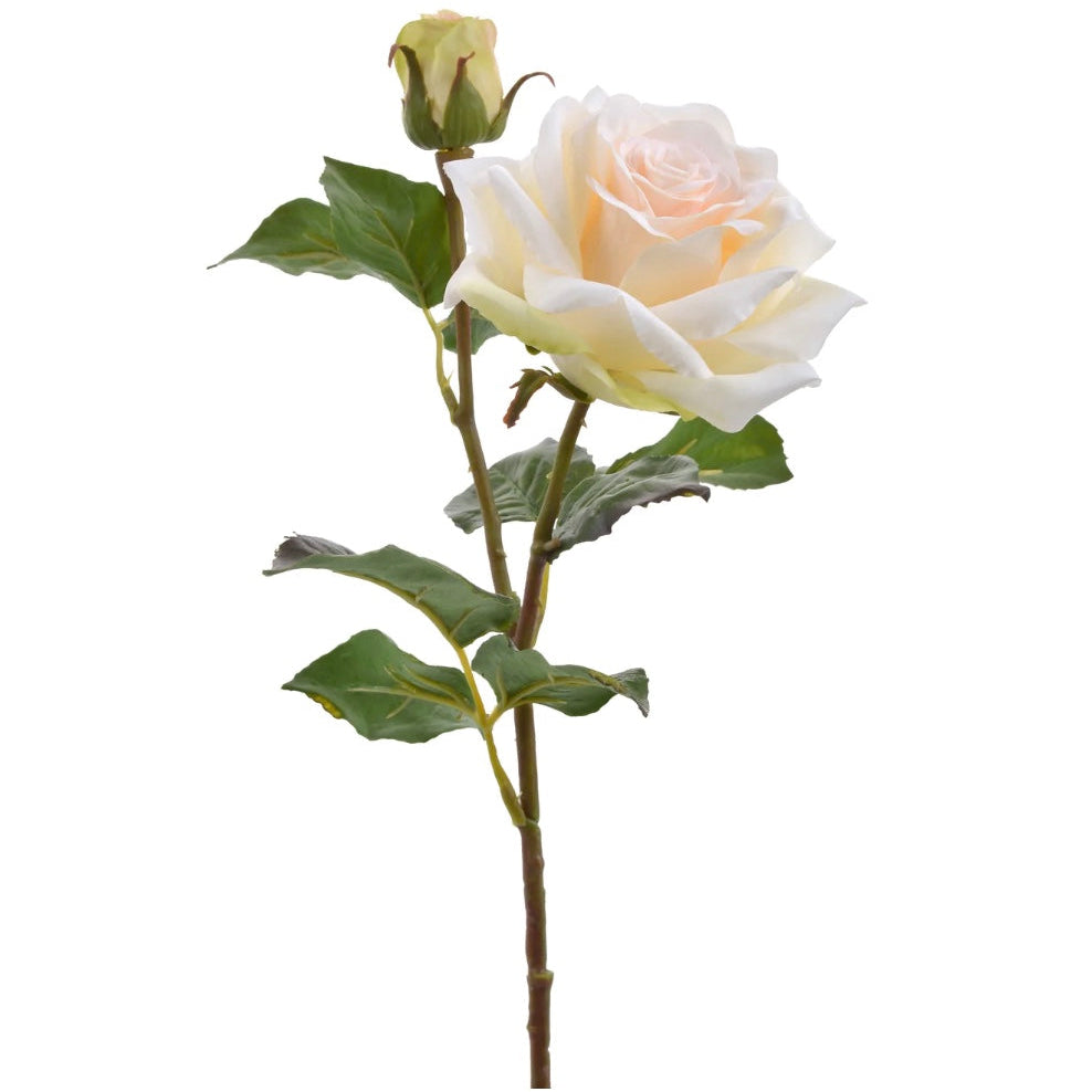 20" Cream Wine Dutch Rose