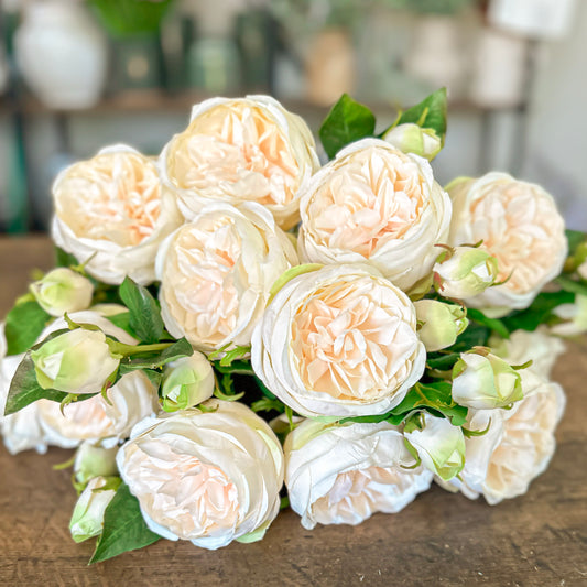 20" English Rose Peach/Cream Stem