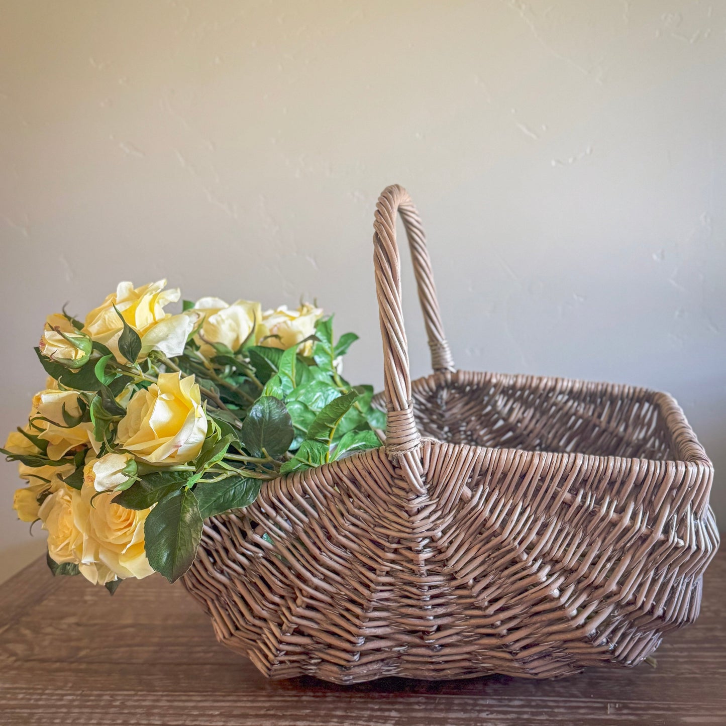 20" Light Yellow Dutch Garden Rose