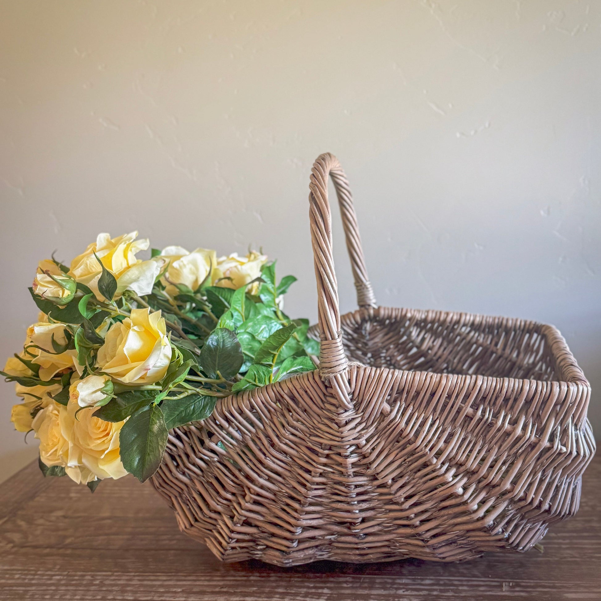 20" Light Yellow Dutch Garden Rose