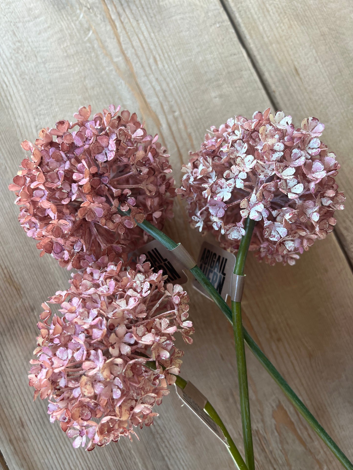 Buddleia Blush Stem