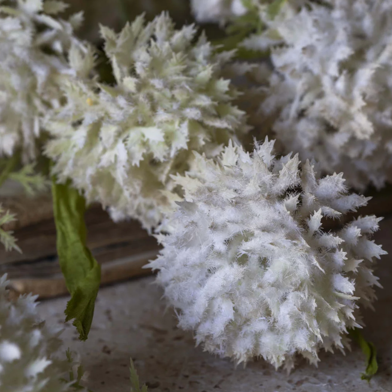 21" Artificial Melaleuca Cream Stem