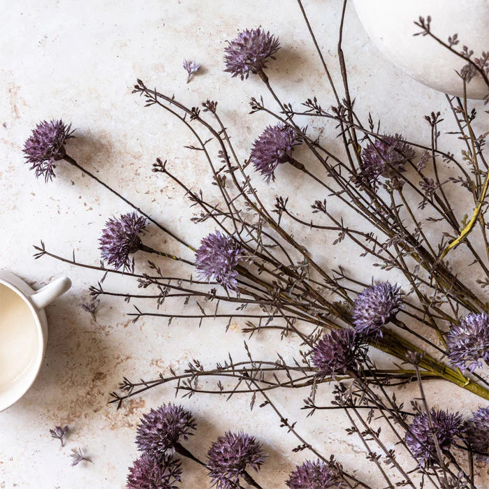 21" Melaleuca Purple Stem