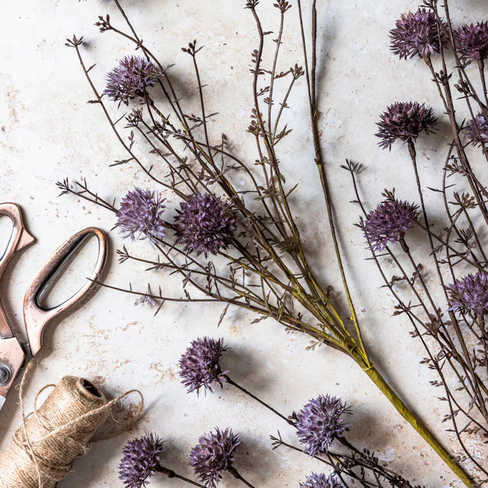 21" Melaleuca Purple Stem