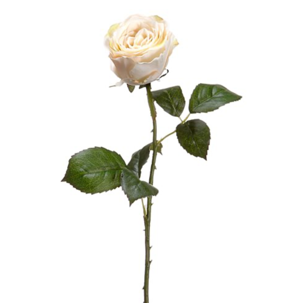 22" Large Beige Rose Bud Spray