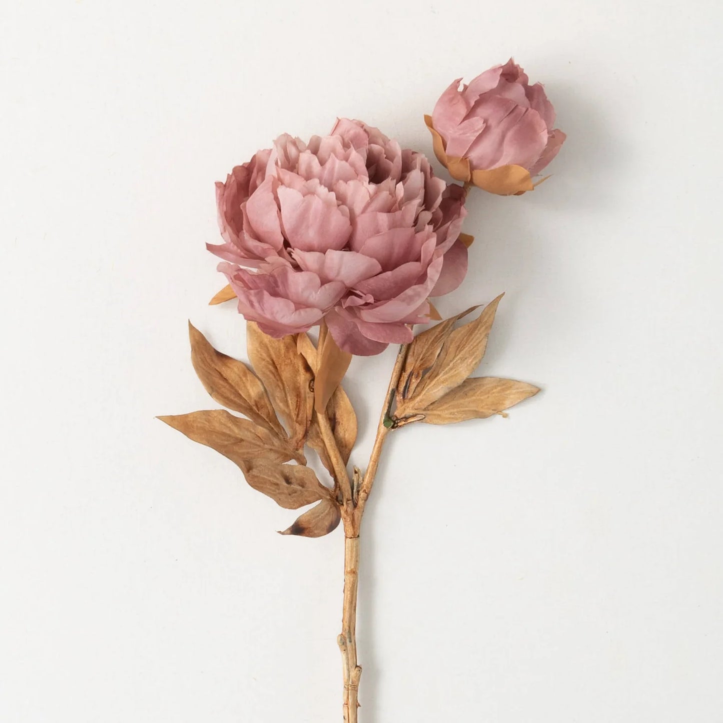 22" Mauve Blush Pink Blooming Peonies