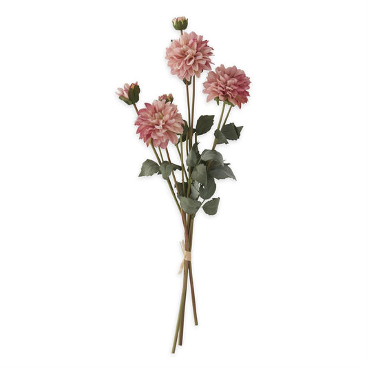 Bouquet of pink dahlias