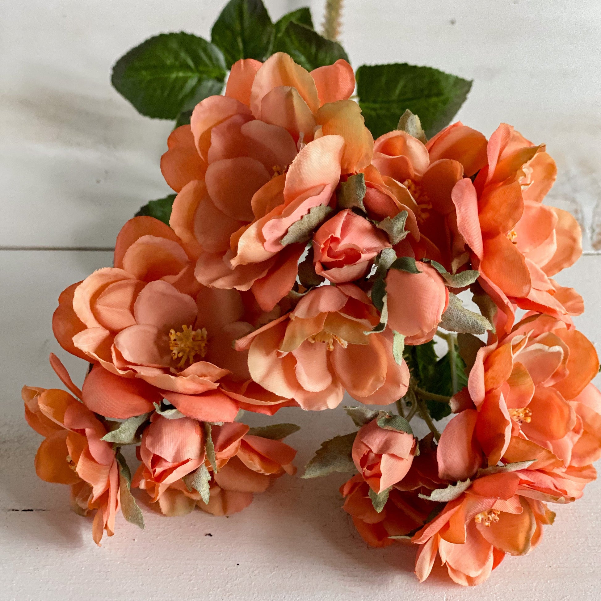 Peach Rose Stem