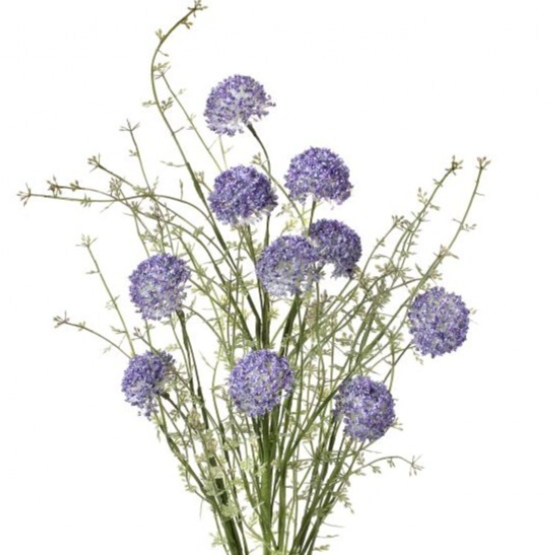 24" Allium Bush with 10 Stems in Lavender
