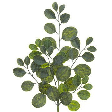 25" Eucalyptus Spray