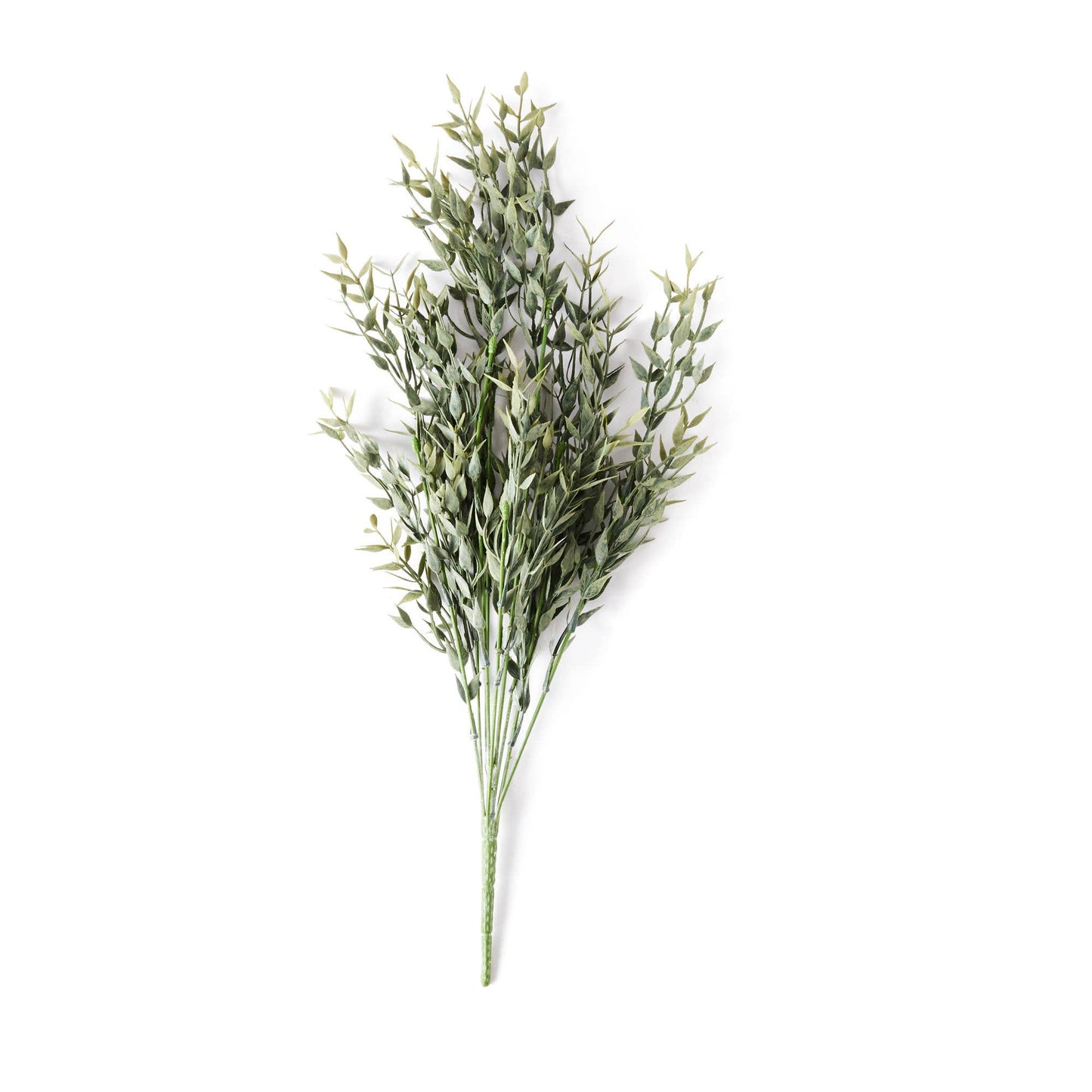 Italian Ruscus Artificial Greenery 21” Stem | Matte Plastic