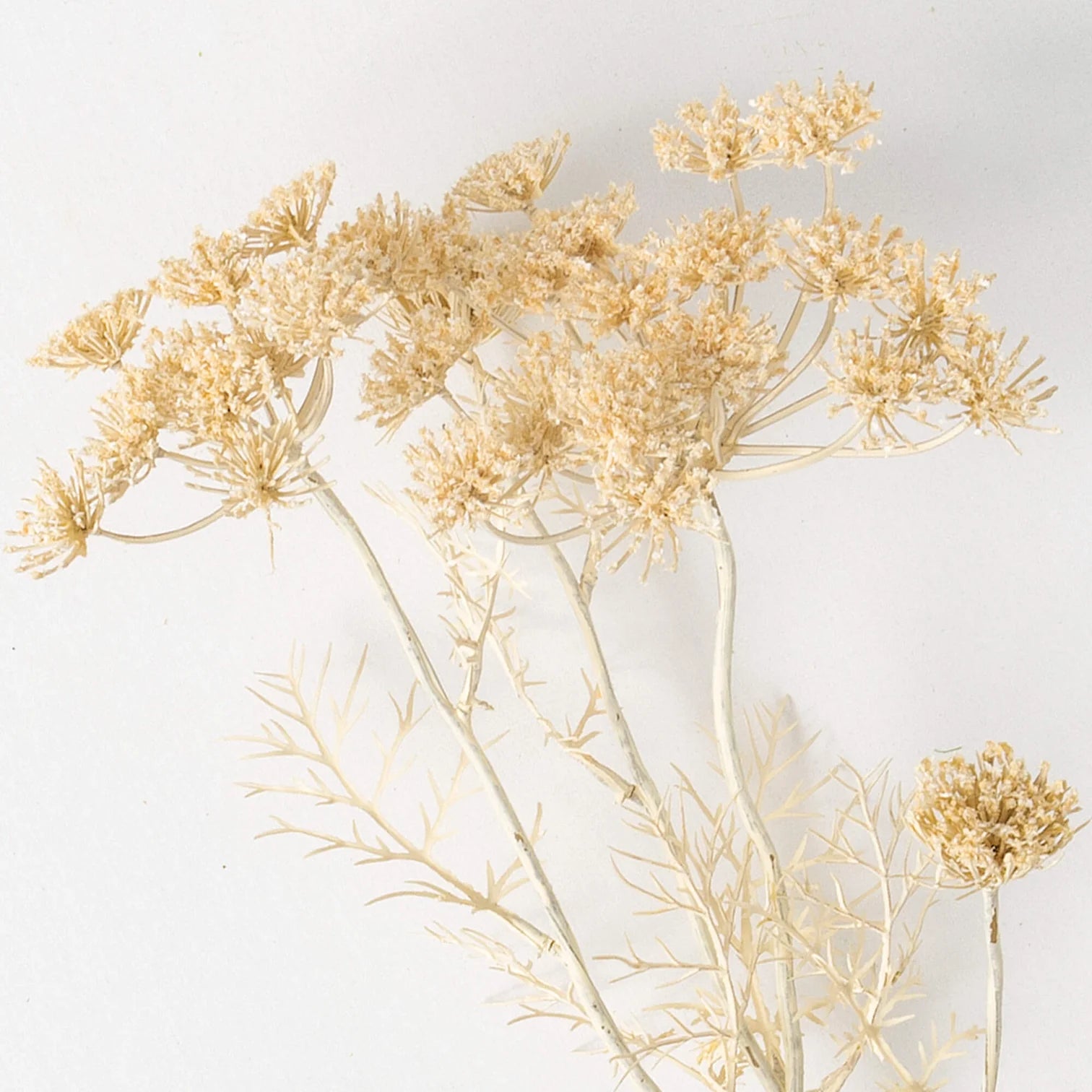 29" Cream Queen Anne's Lace Spray Artificial Stem