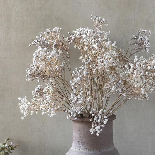 30" Gypsophila Stem (Babies Breath)