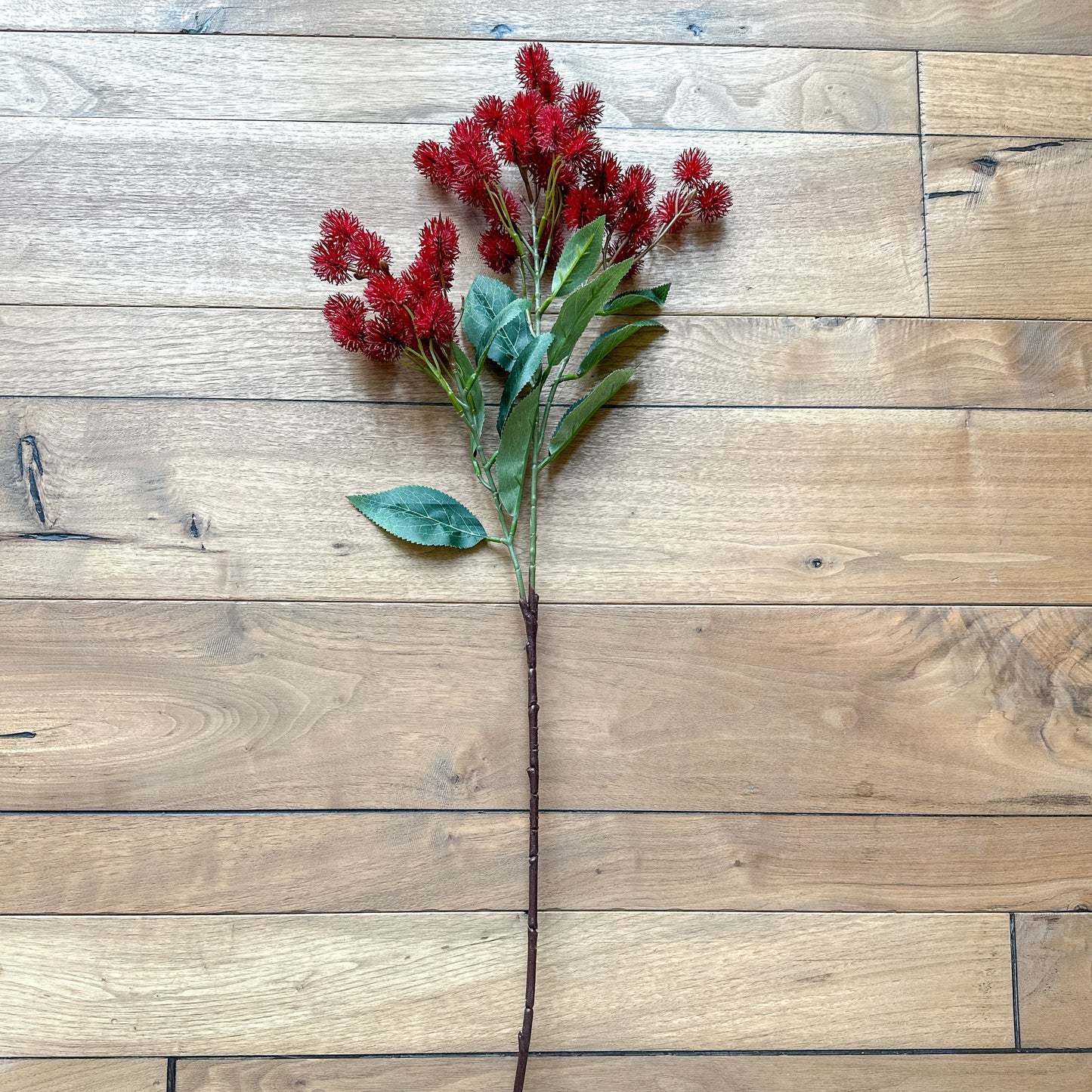 30 INCH RED Thistle Spray