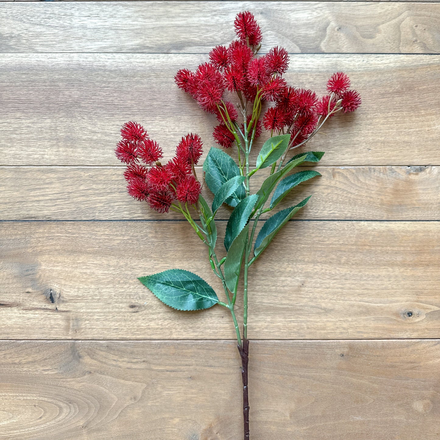 30 INCH RED Thistle Spray