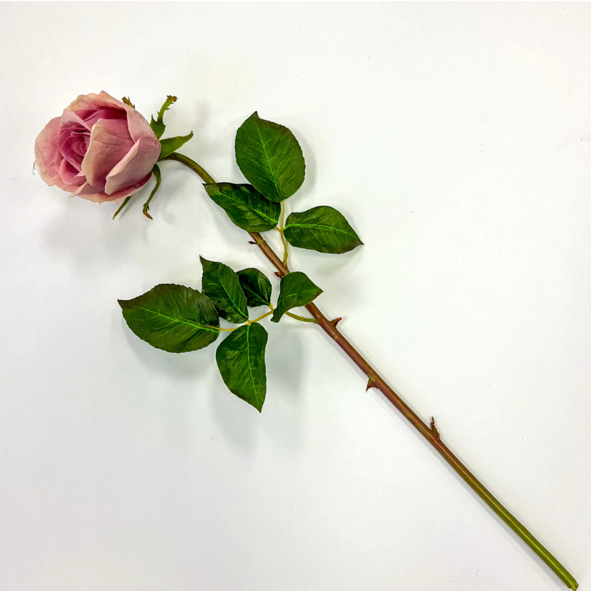 30" Peachy Pink Rose Stem