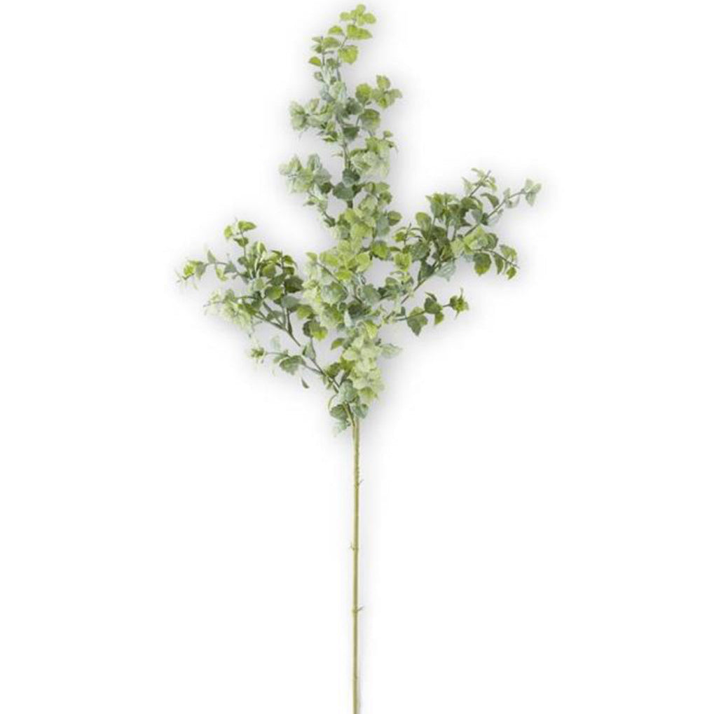 A single stem of powdered light green mint leaf spray against a white background.