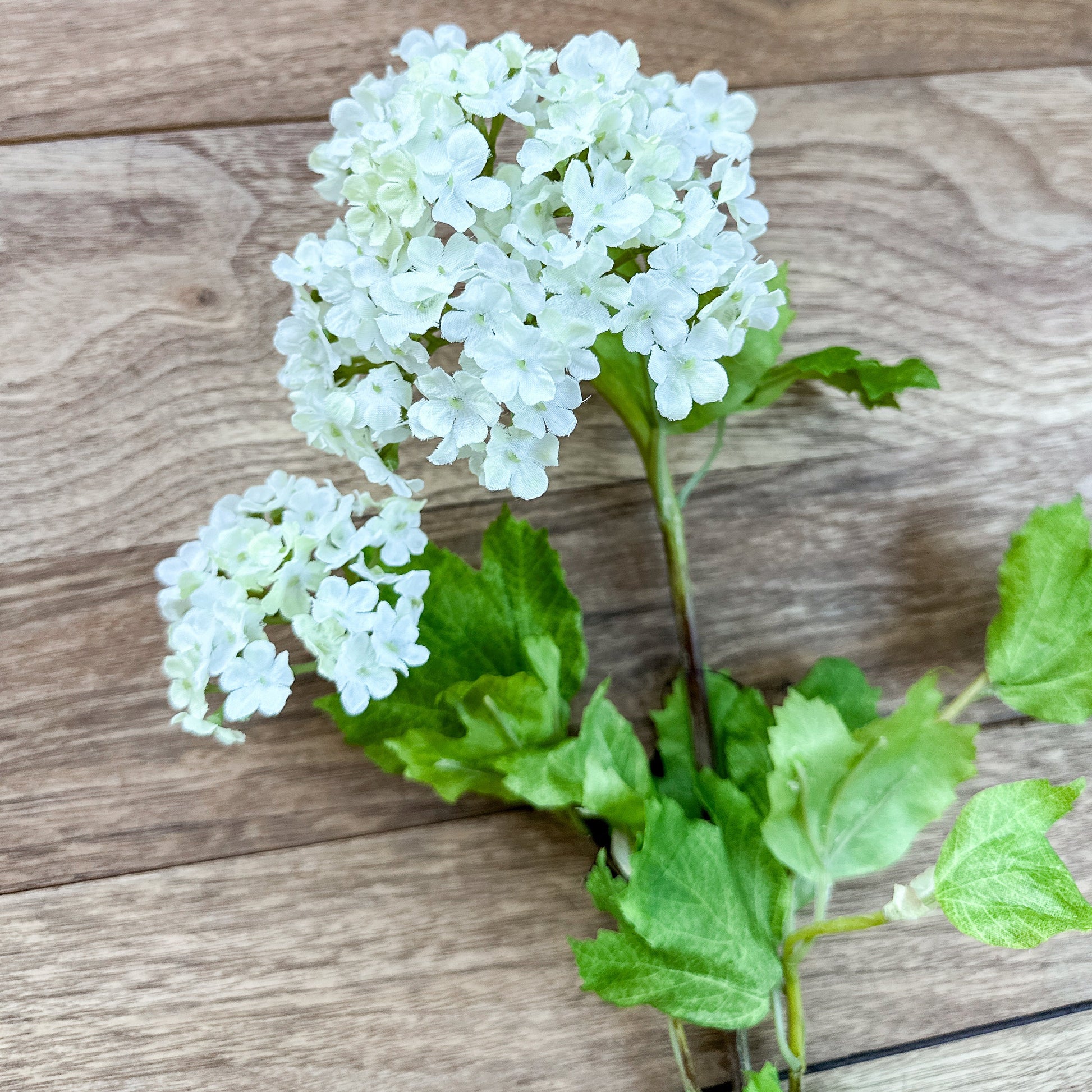 White flowers with green leaves on a wooden surface 32" White Snowball 2 Bloom Hydrangea Stem Spray