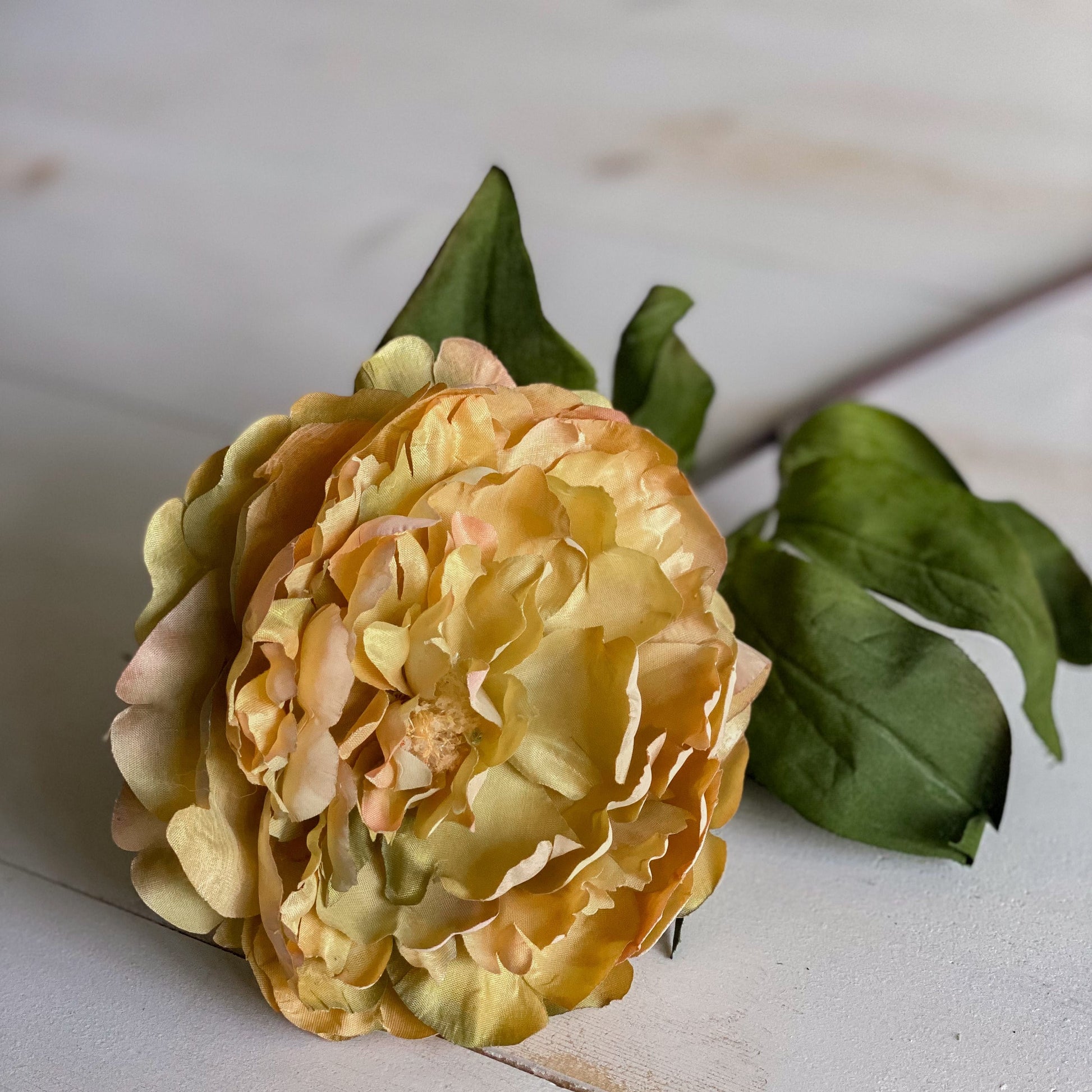 32" Dark Yellow Peony
