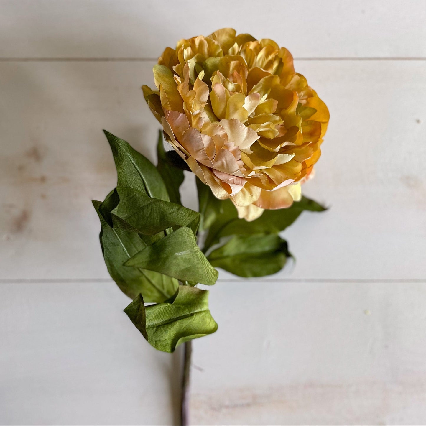 32" Dark Yellow Peony
