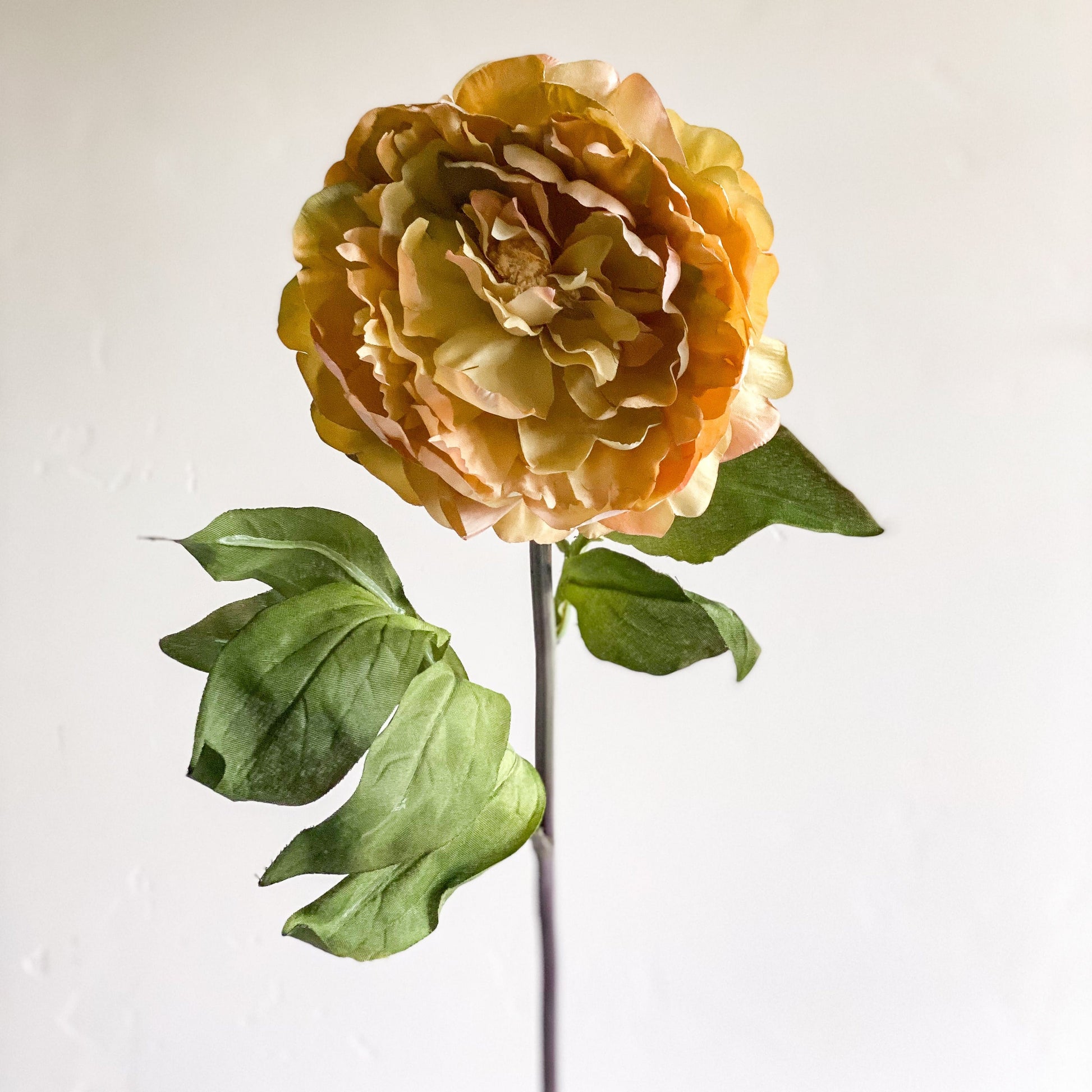 32" Dark Yellow Peony