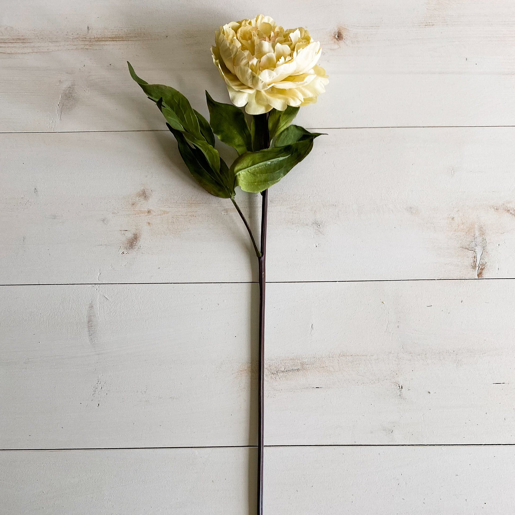 32" Yellow Peony