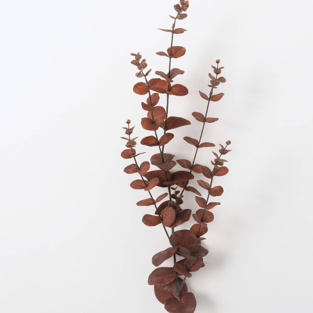 33" FALL RUST EUCALYPTUS SPRAY