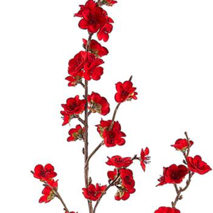 Red velvet cherry blossom floral branch on a white background