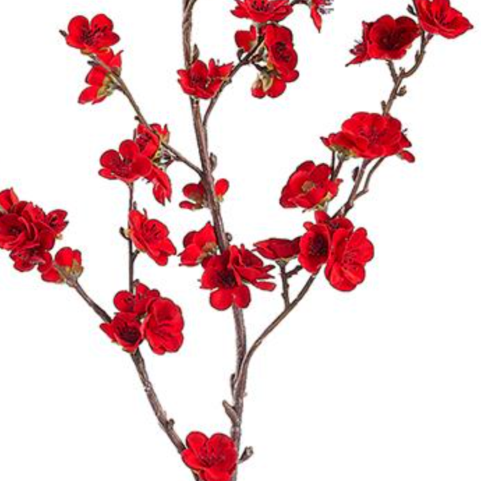 Red cherry blossom floral branch on a white background 