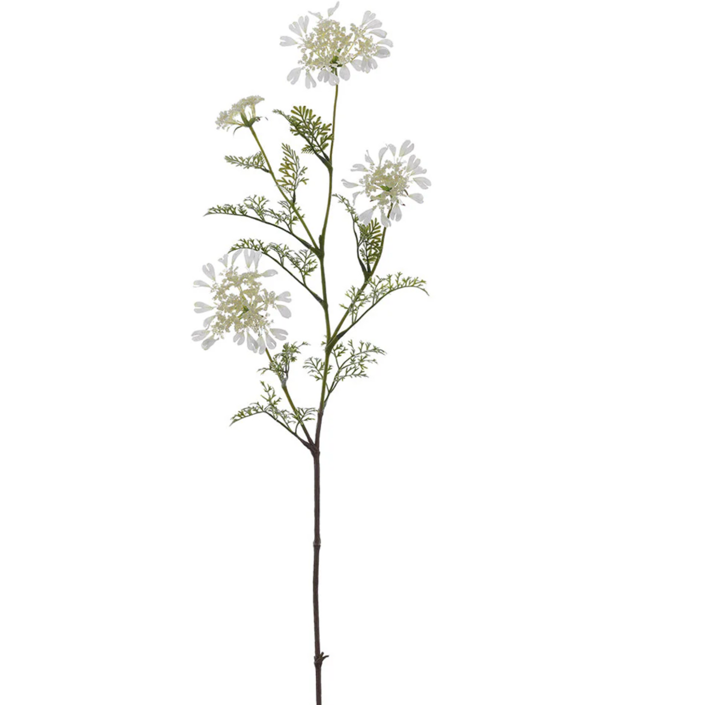 Artificial white orlaya lace flower spray stem with white flowers on a white background